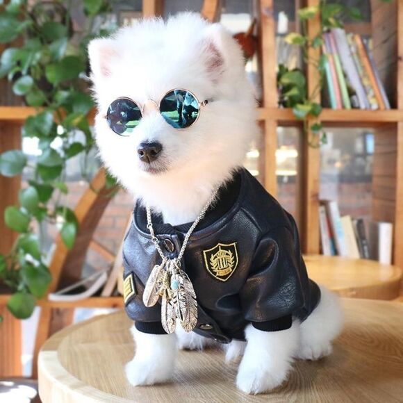 ⛔️CLEARANCE⛔️ Mini Retro Pet Sunglasses - Picture 9 of 15